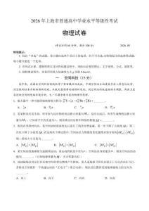 2026年5月上海市高考物理試卷（含答案）