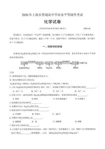 2026年6月上海市高考化學試卷（含答案）
