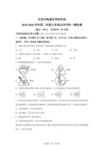 2026年廣東東莞市海逸外國語學校九年級一模檢測化學試題（含答案）