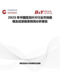 2025年中国搅龙叶片行业市场规模及投资前景预测分析报告