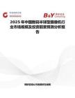 2025年中国数码半球型摄像机行业市场规模及投资前景预测分析报告