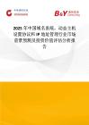 2025年中國域名系統，動態主機設置協議和IP地址管理行業市場前景預測及投資價值評估分析報告