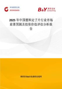 2025年中國塑料定子片行業市場前景預測及投資價值評估分析報告
