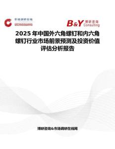2025年中国外六角螺钉和内六角螺钉行业市场前景预测及投资价值评估分析报告