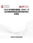 2025年中國外墻砌面（EWC）行業(yè)市場前景預測及投資價值評估分析報告