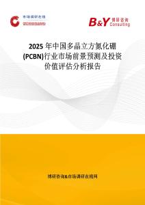 2025年中国多晶立方氮化硼(PCBN)行业市场前景预测及投资价值评估分析报告
