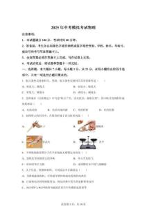 2025年廣東省茂名市信宜市中考模擬物理試題（含答案）
