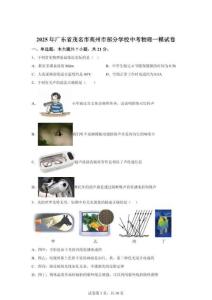 2025年廣東省茂名市高州市部分學(xué)校中考物理一模試題（含答案）
