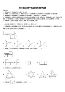 2026届吕梁市中考适应性考试数学试题（含答案解析）