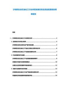沙特阿拉伯石油化工行業供需發展態勢及資金配置規劃調查報告