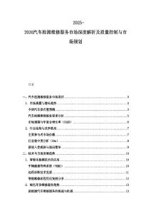 2025-2030汽車檢測(cè)維修服務(wù)市場(chǎng)深度解析及質(zhì)量控制與市場(chǎng)規(guī)劃