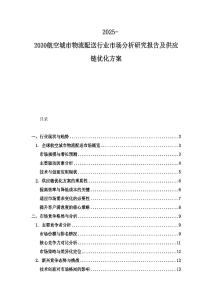 2025-2030航空城市物流配送行業市場分析研究報告及供應鏈優化方案