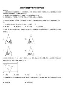 2026年安陽市中考沖刺卷數(shù)學(xué)試題（含答案解析）