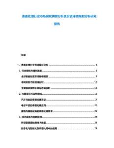 表面處理行業(yè)市場(chǎng)現(xiàn)狀供需分析及投資評(píng)估規(guī)劃分析研究報(bào)告