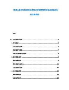 香港元港币红包政策拉动经济政策持续性资金流量监测分析实施手册