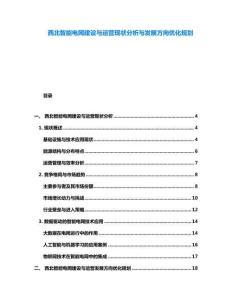 西北智能电网建设与运营现状分析与发展方向优化规划