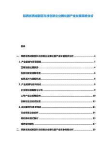 陜西省西咸新區(qū)科技創(chuàng)新企業(yè)孵化器產(chǎn)業(yè)發(fā)展策略分析