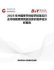 2025年中國季節(jié)性投手投球丘行業(yè)市場前景預(yù)測及投資價(jià)值評估分析報(bào)告