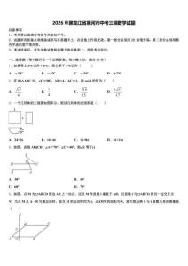 2026年黑龙江省黑河市中考三模数学试题（含答案解析）