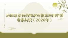 泌尿系結石藥物溶石臨床應用中國專家共識（2026年）