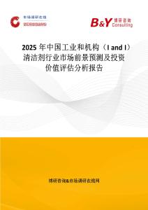 2025年中國工業和機構（I and I）清潔劑行業市場前景預測及投資價值評估分析報告