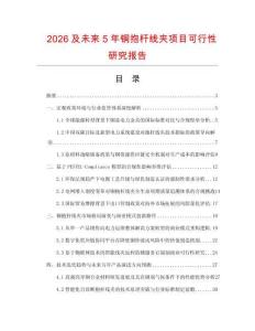 2026及未来5年铜抱杆线夹项目可行性研究报告