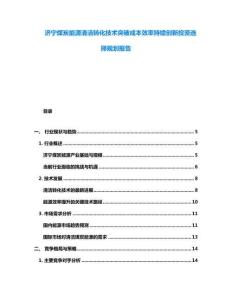 濟寧煤炭能源清潔轉化技術突破成本效率持續創新投資選擇規劃報告