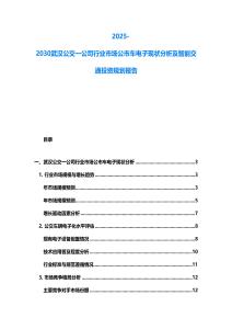 2025-2030武漢公交一公司行業市場公市車電子現狀分析及智能交通投資規劃報告