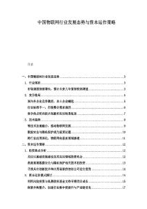 中國物聯網行業發展態勢與資本運作策略