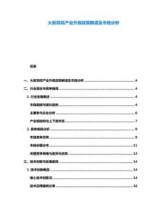 火炬項(xiàng)目產(chǎn)業(yè)升級(jí)政策解讀及市場(chǎng)分析