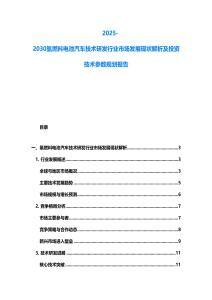 2025-2030氫燃料電池汽車技術(shù)研發(fā)行業(yè)市場(chǎng)發(fā)展現(xiàn)狀解析及投資技術(shù)參數(shù)規(guī)劃報(bào)告