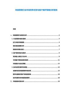 財富管理行業市場競爭態勢與客戶維護策略分析報告