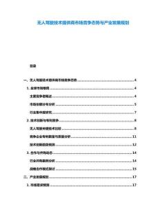 无人驾驶技术提供商市场竞争态势与产业发展规划
