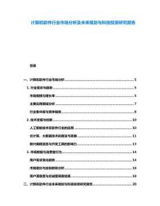 計(jì)算機(jī)軟件行業(yè)市場分析及未來規(guī)劃與科技投資研究報告