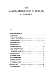 2025-2030能源進(jìn)口領(lǐng)域市場深度探索及供應(yīng)鏈管理與市場潛力分析研究報(bào)告