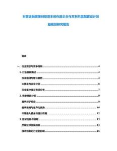 财政金融政策创投资本运作政企合作互利共赢配置设计效益规划研究报告