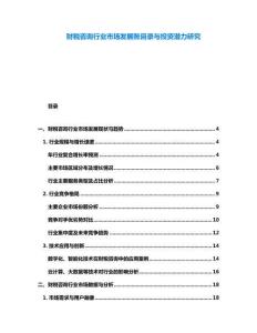 財(cái)稅咨詢行業(yè)市場(chǎng)發(fā)展賬目錄與投資潛力研究