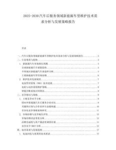 2025-2030汽車后服務(wù)領(lǐng)域新能源車型維護(hù)技術(shù)需求分析與發(fā)展策略報(bào)告