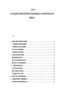 2025-2030能源互聯網發展范式深度洞察及未來投資機會挖掘探討