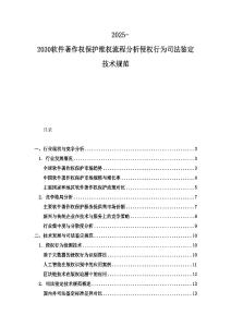 2025-2030軟件著作權保護維權流程分析侵權行為司法鑒定技術規范