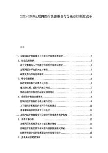 2025-2030互聯網醫療資源整合與分級診療制度改革