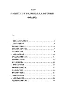 2025-2030能源化工行业市场发展评估及发展战略与运营管理研究报告