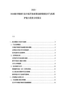 2025-2030航空維修行業市場開放政策創新維修技術飛機維護能力投資分析報告