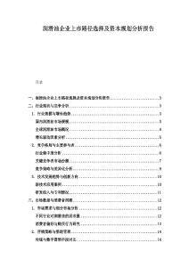 润滑油企业上市路径选择及资本规划分析报告