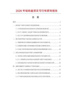 2026年砝碼盒項目可行性研究報告