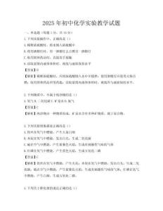 2025年初中化學(xué)實(shí)驗(yàn)教學(xué)試題