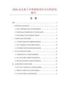 2026及未来5年啤酒屋项目可行性研究报告