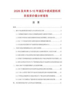 2026及未來5-10年液壓中底成型機項目投資價值分析報告