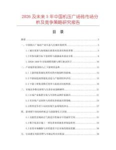 2026及未来5年中国机压广场砖市场分析及竞争策略研究报告