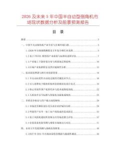2026及未来5年中国半自动型倒角机市场现状数据分析及前景预测报告